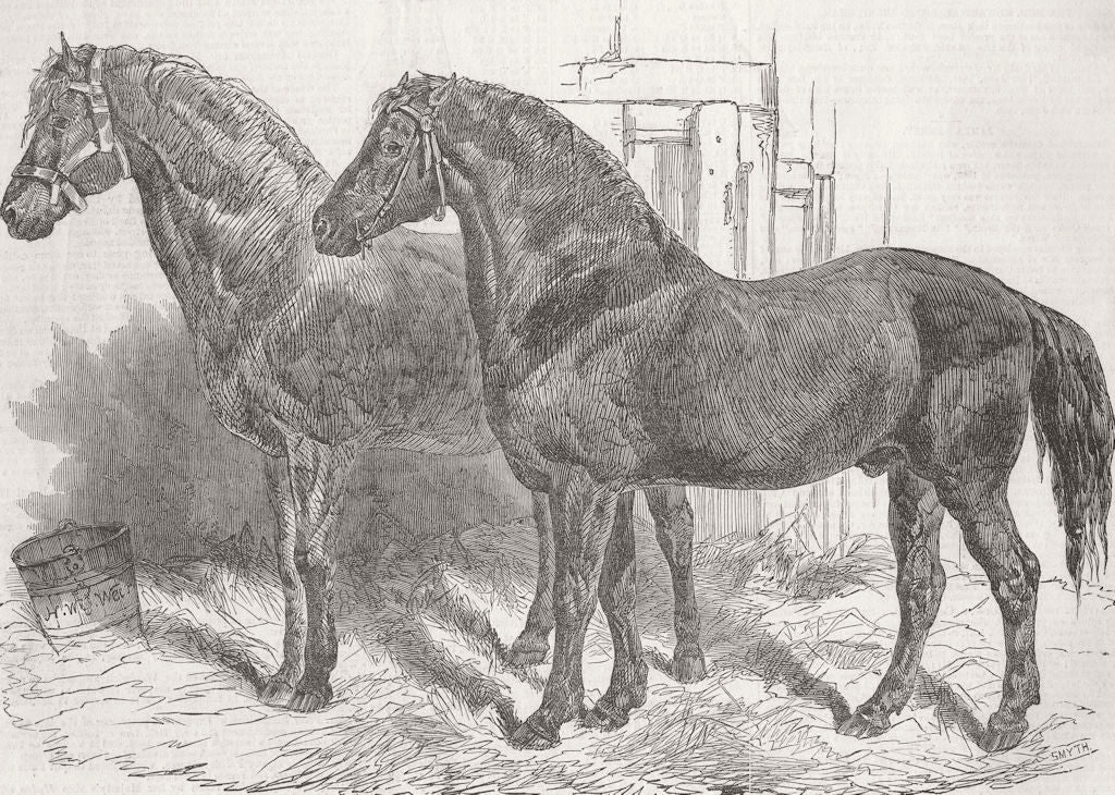 FARMING. Horses for agricultural purpose 1849 old antique print picture